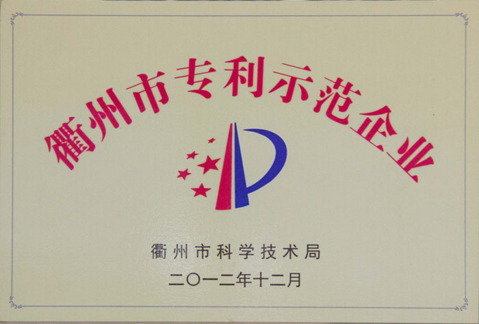 2012年衢州市专利示范企业